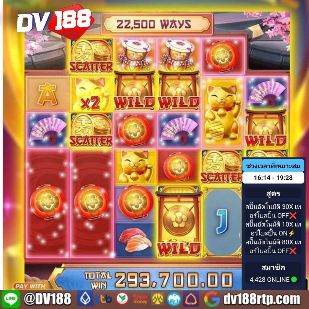 cat888 หวย vip เว็บตรง สล็อต ฝากถอนออโต้ ไม่ผ่านเอเย่นต์ 2026