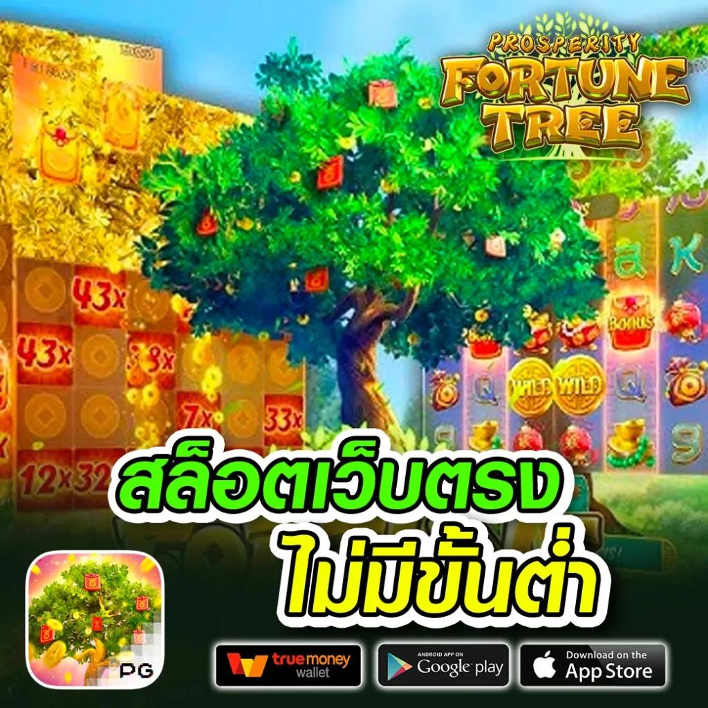mcm998 เว็บตรง สล็อต ฝากถอนออโต้ ไม่ผ่านเอเย่นต์ 2026